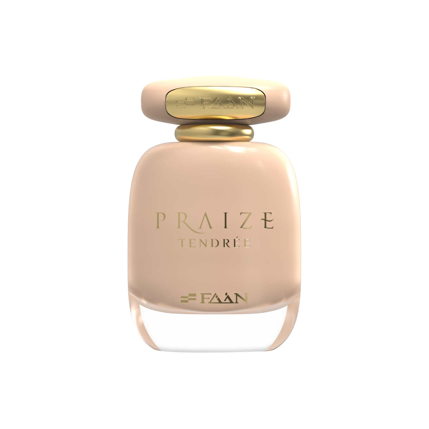 PRAIZE TENDREE
